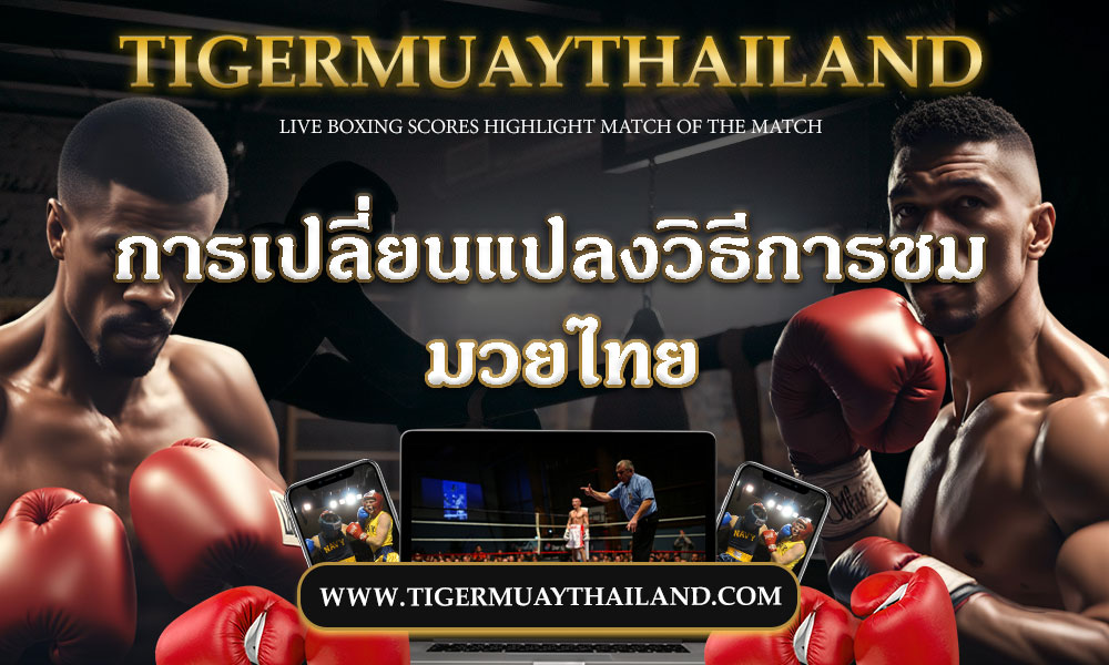 Thai boxing1